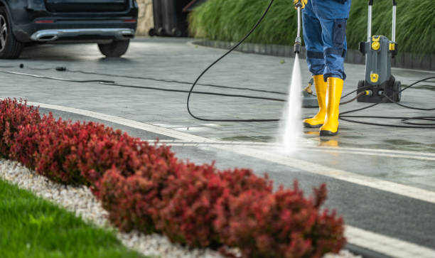 Best Gutter Cleaning  in Ashland, CA